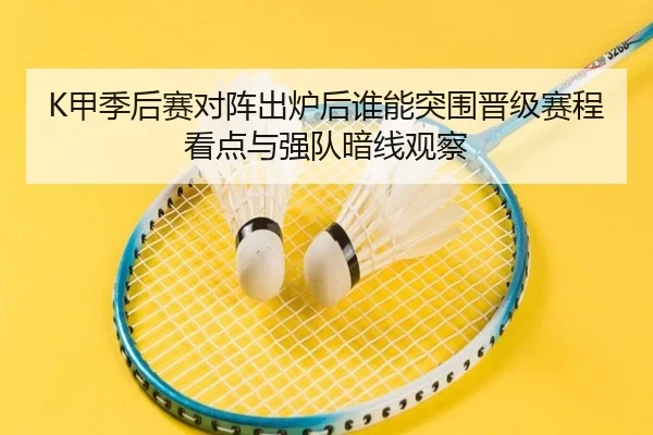 K甲季后赛对阵出炉后谁能突围晋级赛程看点与强队暗线观察